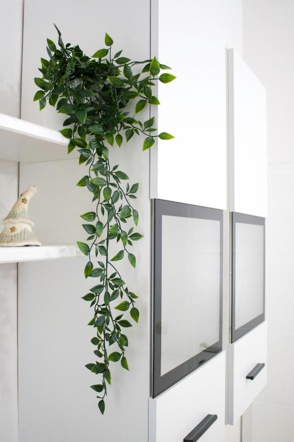 Appartamento White Orchid Pola Esterno foto